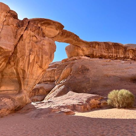 Wadi Rum Tents מראה חיצוני תמונה
