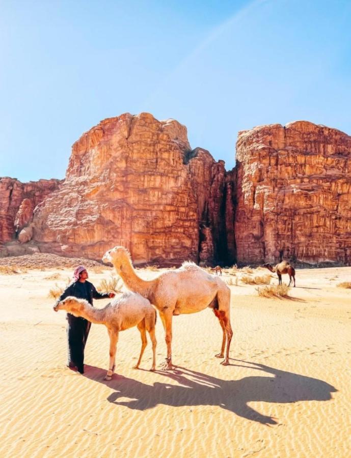 Wadi Rum Tents מראה חיצוני תמונה